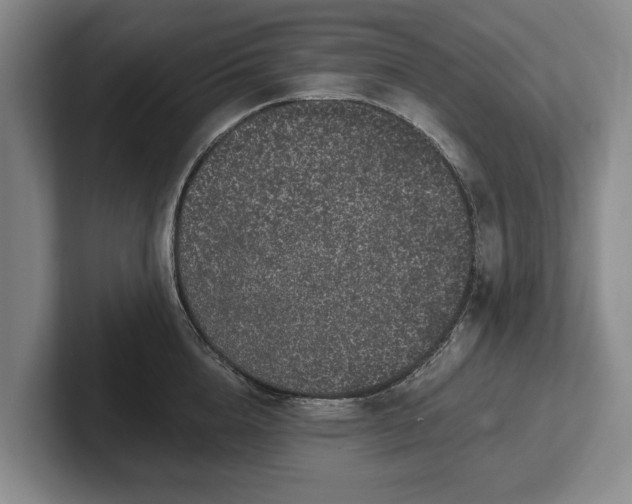 X0000102460856200808151406