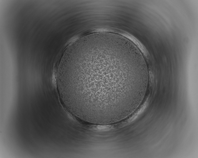 X0000102460857200808151406