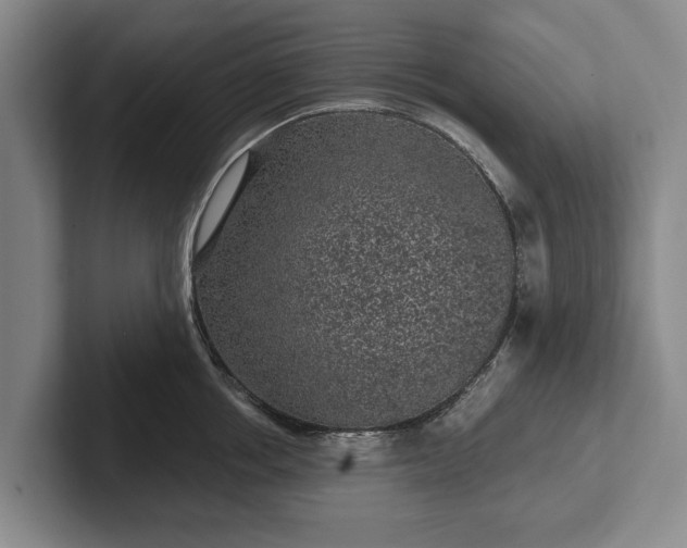 X0000102460858200808151406