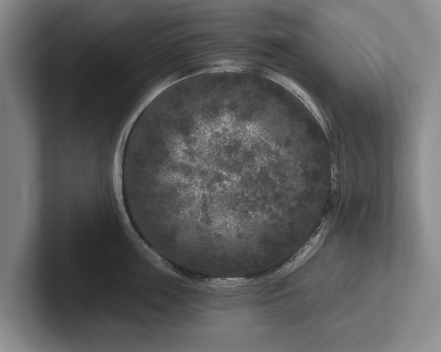 X0000102460859200808151406