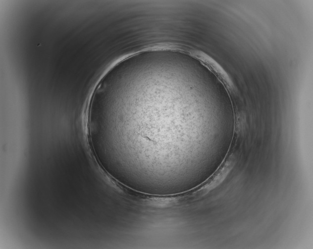 X0000102460860200808151406