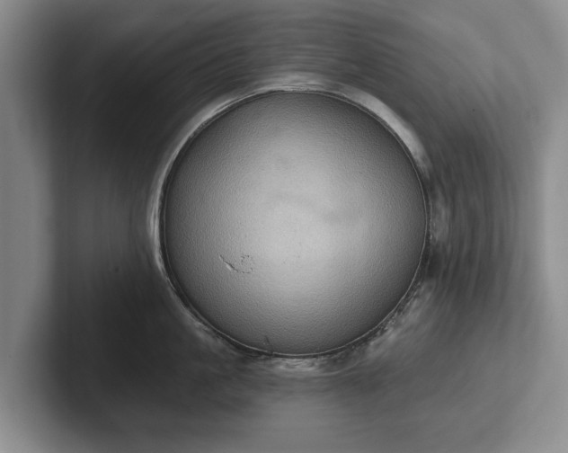 X0000102460861200808151406