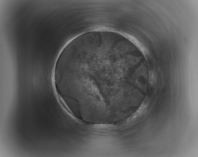 X0000102460863200808151406