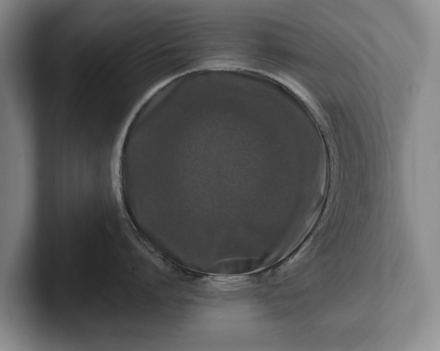 X0000102460864200808151406