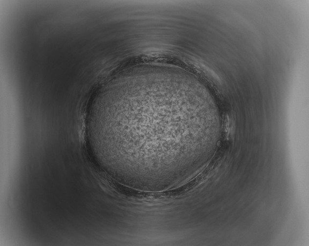 X0000102460868200808151405