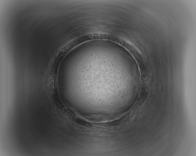 X0000102460870200808151405