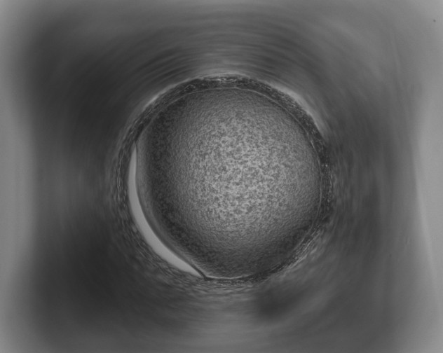 X0000102460871200808151405