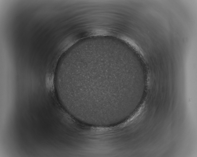 X0000102460873200808151405