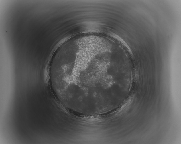 X0000102460874200808151405