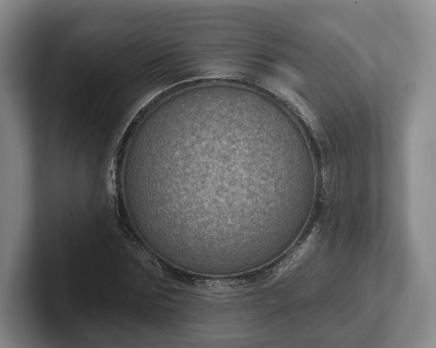 X0000102460875200808151405