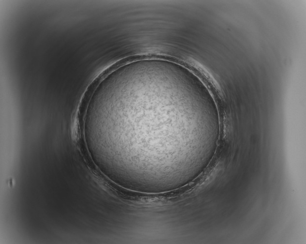 X0000102460876200808151405