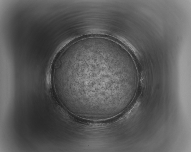 X0000102460877200808151405