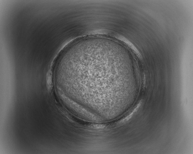 X0000102460878200808151405