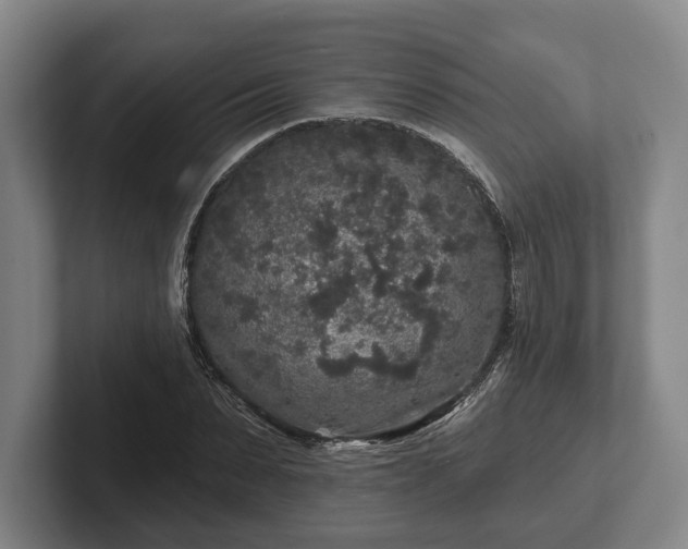 X0000102460879200808151405