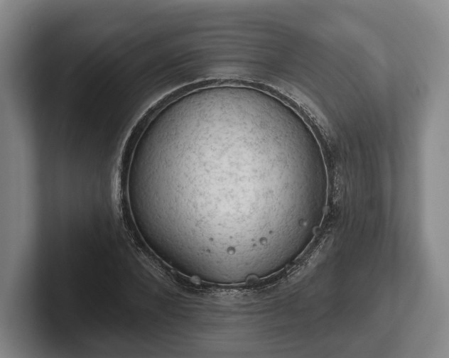 X0000102460880200808151405