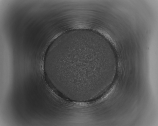 X0000102460881200808151405