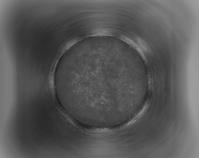 X0000102460882200808151405