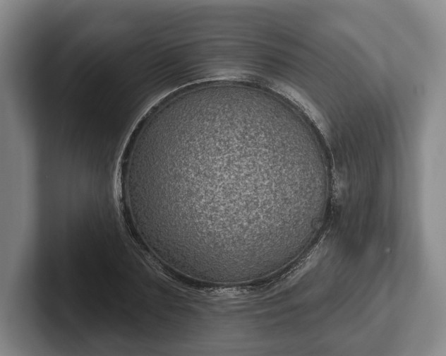 X0000102460883200808151405