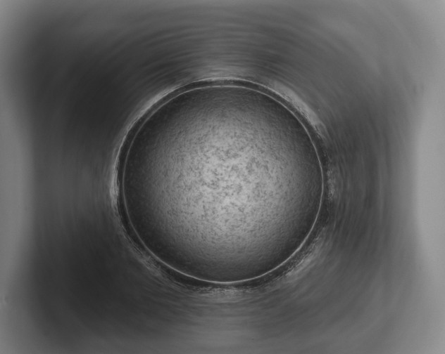 X0000102460885200808151405