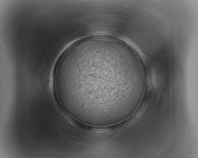 X0000102460886200808151405