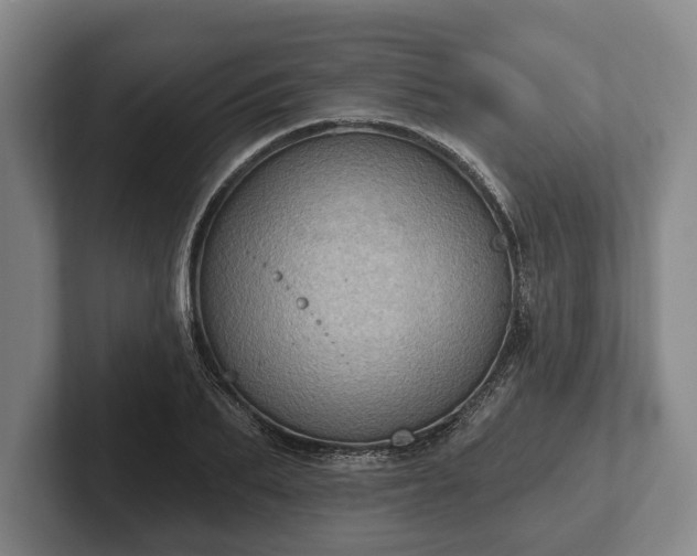 X0000102460887200808151405