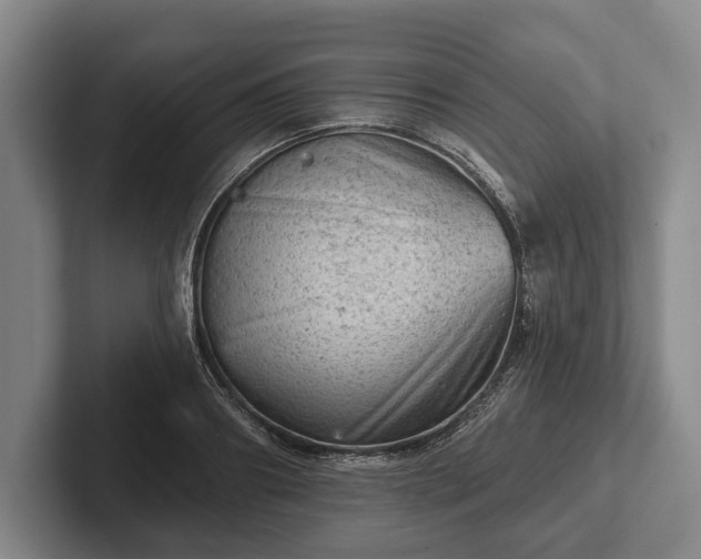 X0000102460890200808151405