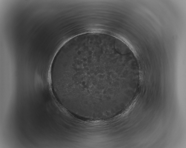 X0000102460891200808151405