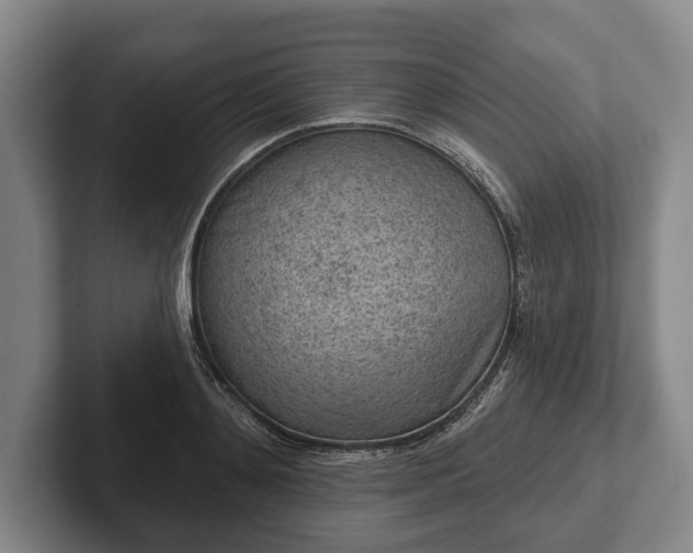 X0000102460892200808151405