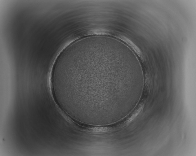 X0000102460893200808151405