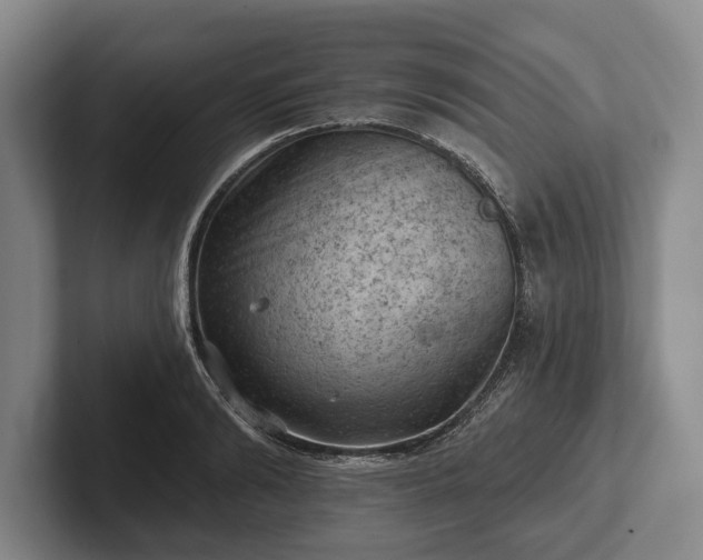 X0000102460894200808151405