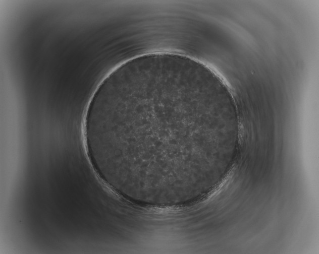 X0000102460895200808151405