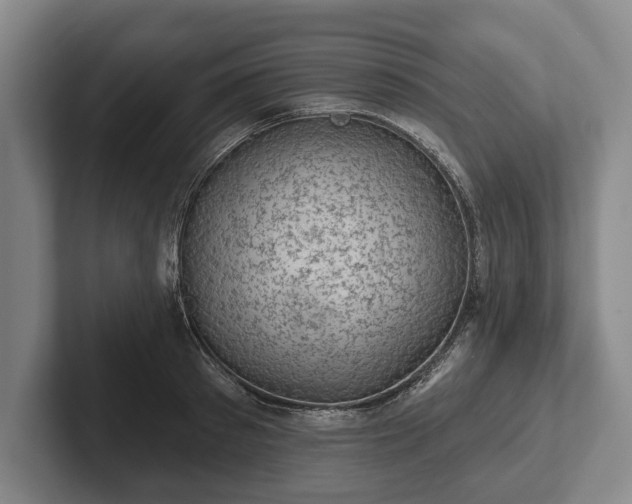 X0000102460897200808151405