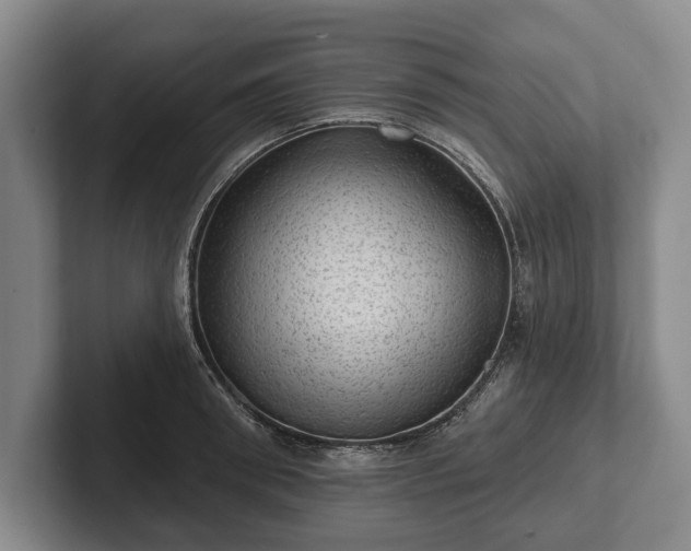 X0000102460898200808151405