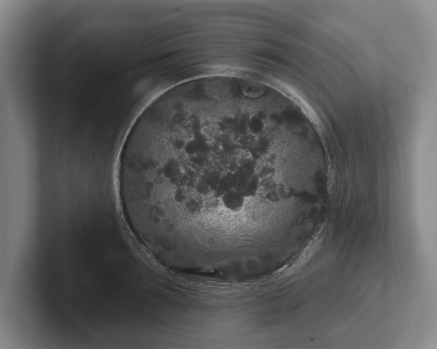 X0000102460899200808151405