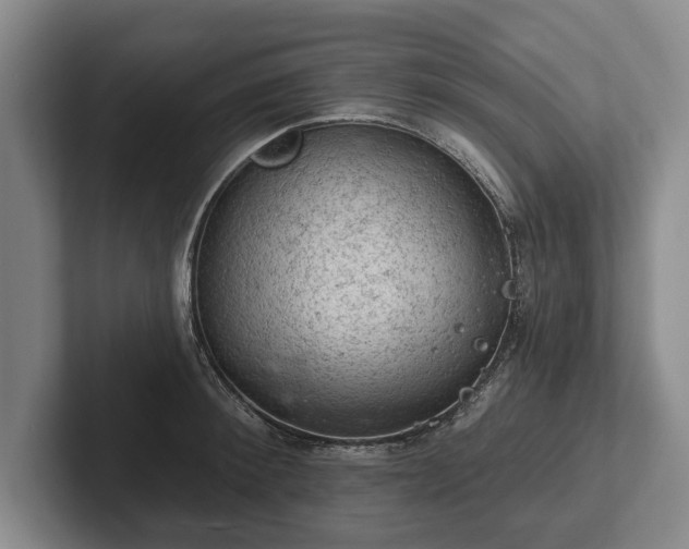 X0000102460900200808151405