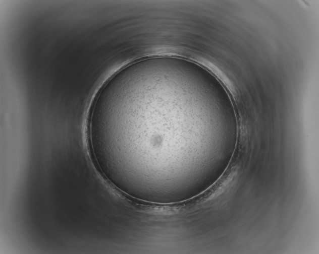 X0000102460901200808151405