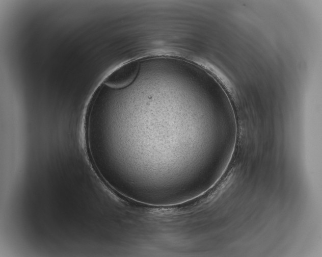 X0000102460902200808151405