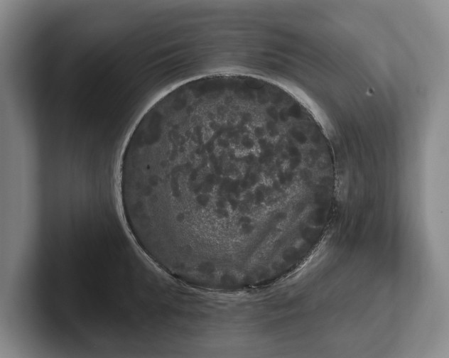 X0000102460903200808151405