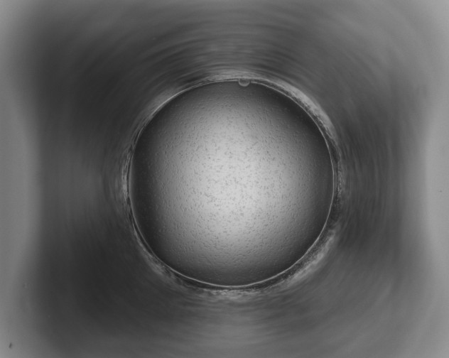 X0000102460905200808151405