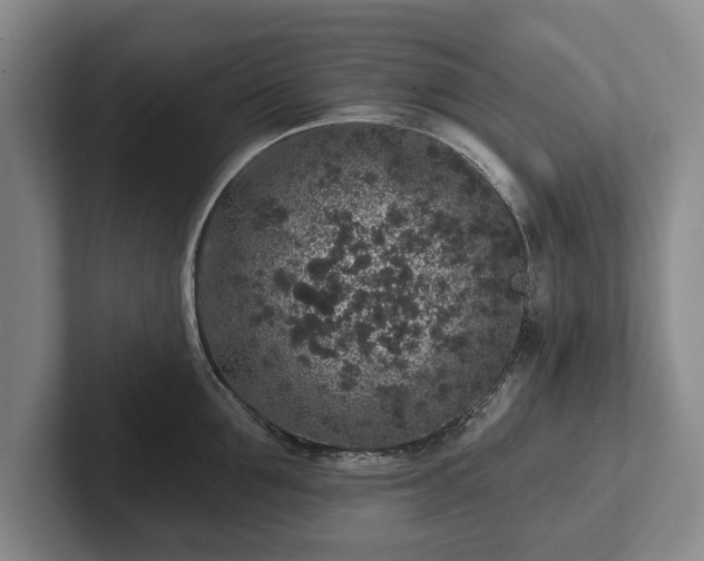 X0000102460907200808151405