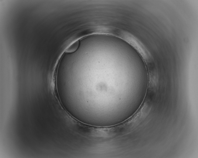 X0000102460908200808151405