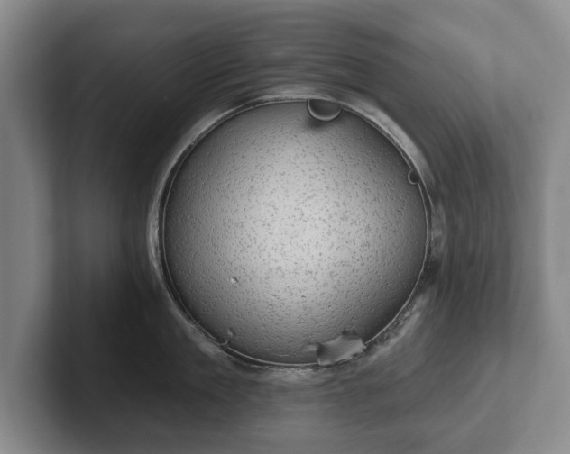 X0000102460909200808151405