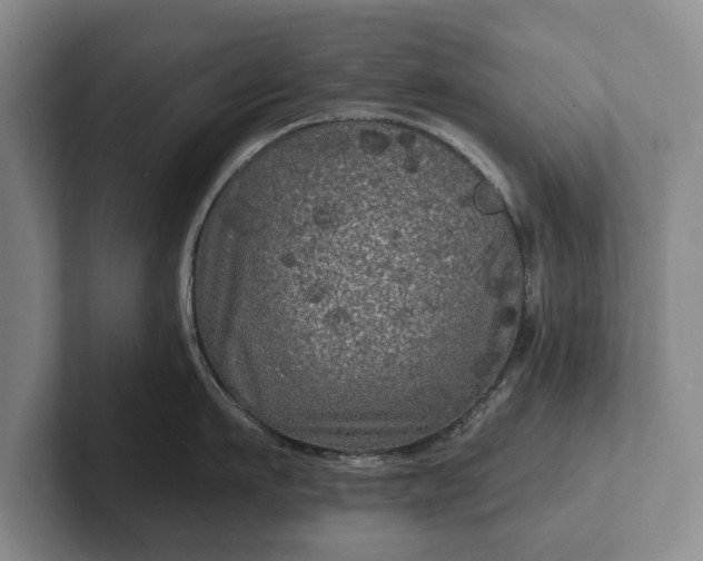 X0000102460911200808151405