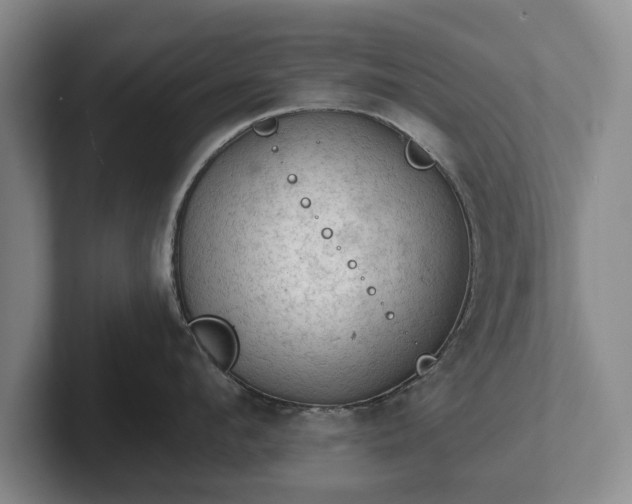 X0000102460912200808151405