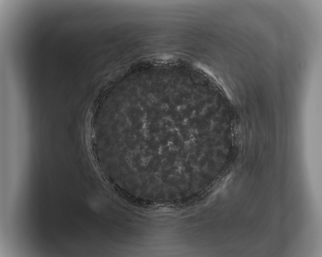 X0000102460913200808151404