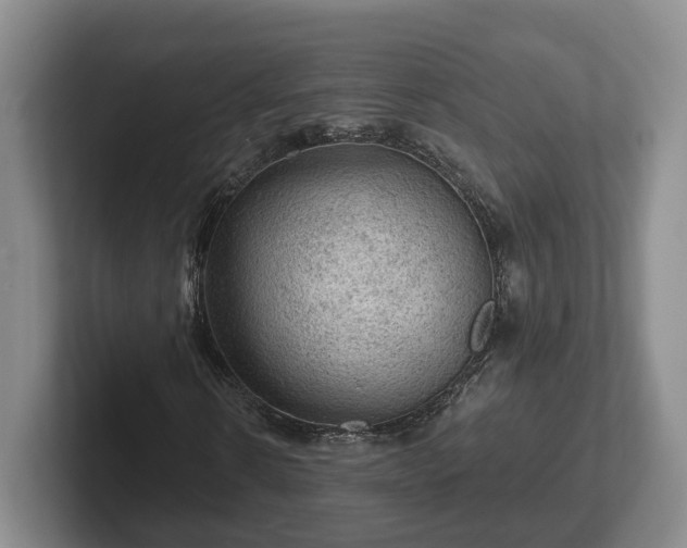 X0000102460914200808151404