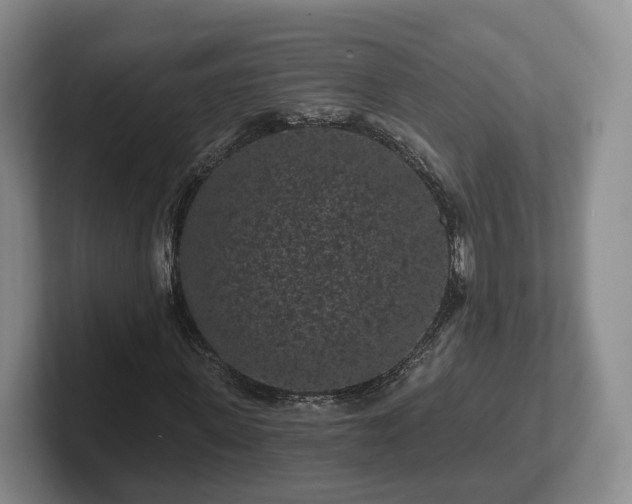 X0000102460915200808151404