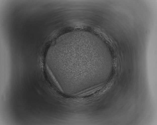 X0000102460916200808151404