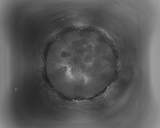 X0000102460917200808151404