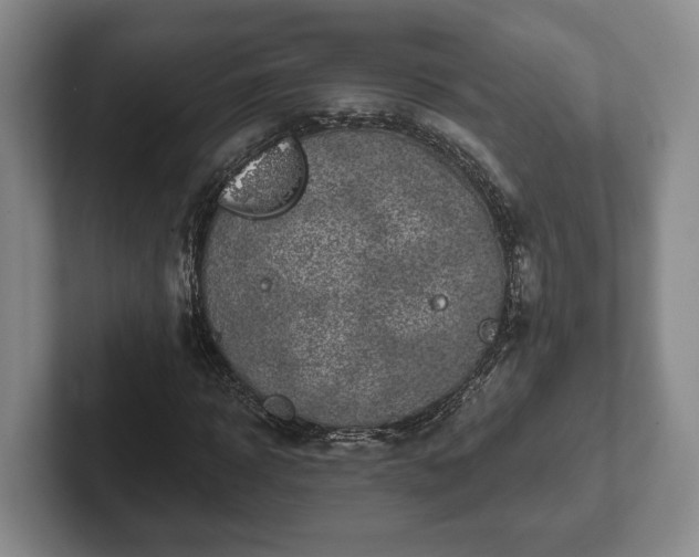 X0000102460918200808151404